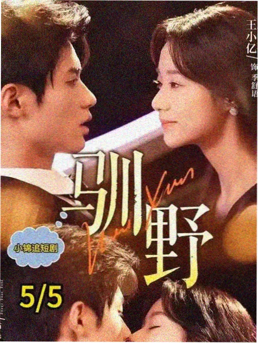 逆流而上 职场群像剧